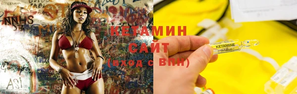 шишки Белоозёрский