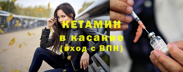 шишки Белоозёрский