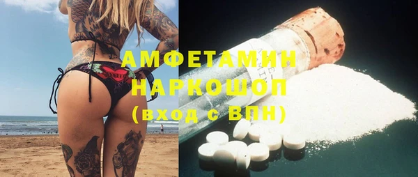 шишки Белоозёрский