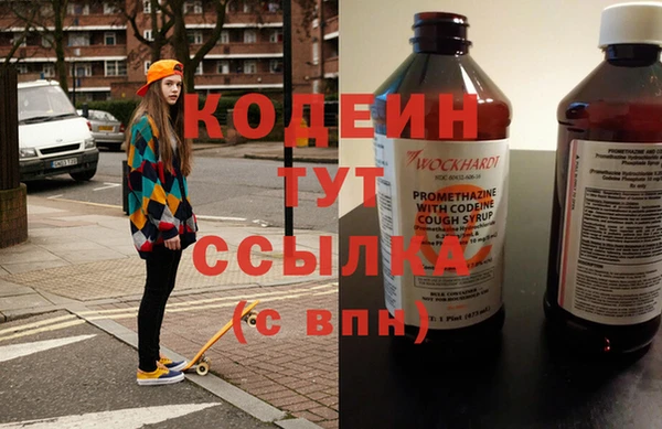 шишки Белоозёрский