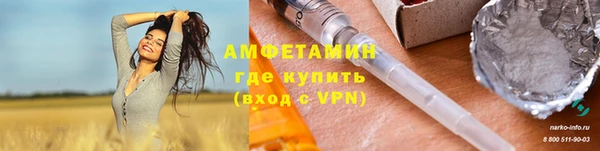 шишки Белоозёрский