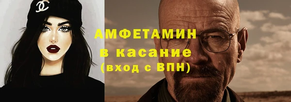 шишки Белоозёрский
