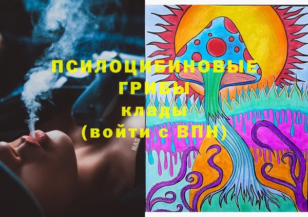 шишки Белоозёрский