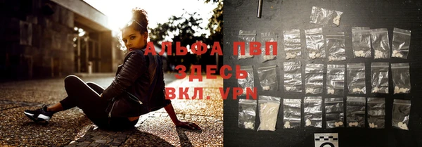 шишки Белоозёрский