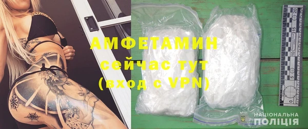 шишки Белоозёрский