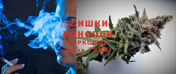 шишки Белоозёрский