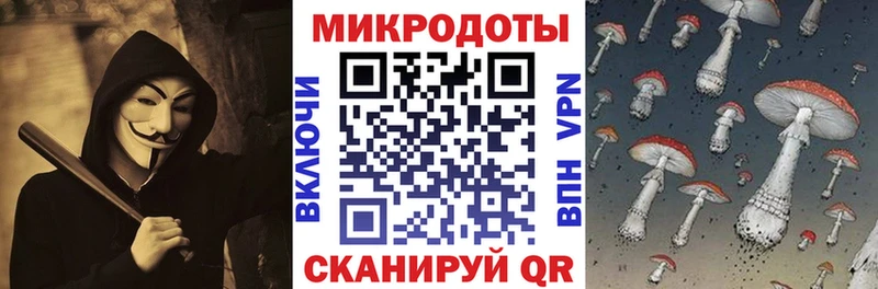 купить наркотик  darknet Telegram  Галлюциногенные грибы MAGIC MUSHROOMS  Сковородино 